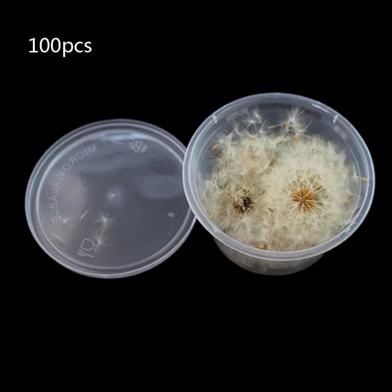 100Pcs Natural Tarsac Seeds Small Fillings Of Glass Balls Resin Desirable Pressed Flower Earrings Necklace Jewelry Creation