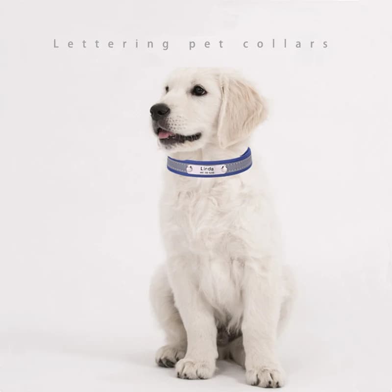 Collare per cani riflettente collari per cani personalizzati per animali domestici etichetta identificativa incisa collare per cani imbottito in pelle per cani di piccola taglia media