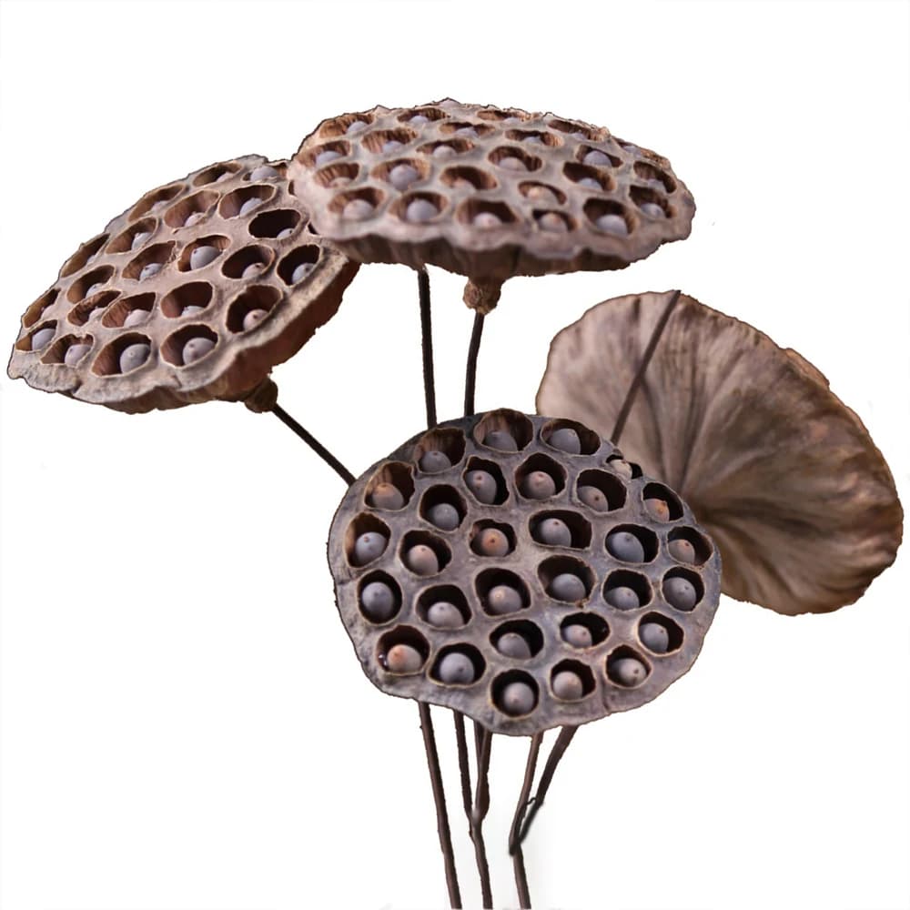 55 cm 2 pieces artificial lotus flowers artificial lotus with semi branch of faux flower head for the wedding decoration of the house party office