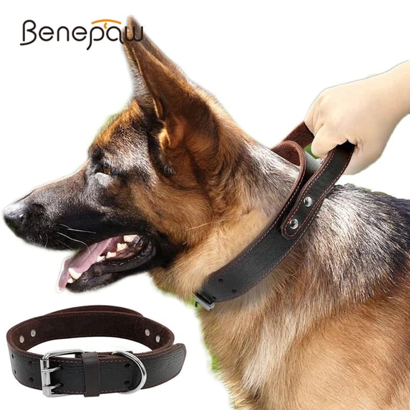 Benepaw Robusto In Vera Pelle Collare di Cane Conrol Maniglia di Modo Durevole Heavy Duty Collare di Addestramento Dell'animale Domestico Per Le Medie Cani di Taglia Grande