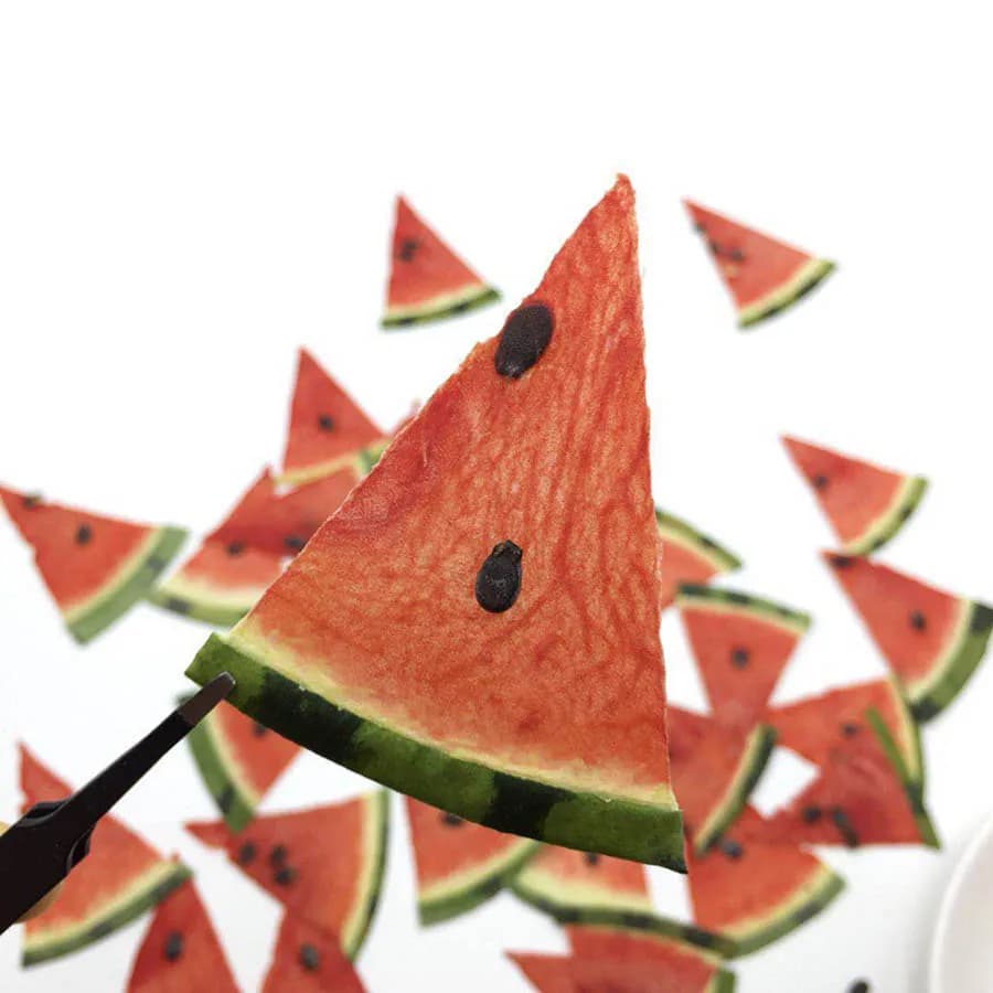 5 pezzi essiccati pressati a base di anguria di frutta fette di pianta erbacario per gioielli cornice per foto cassa del telefono segnalibro mestiere fai da te