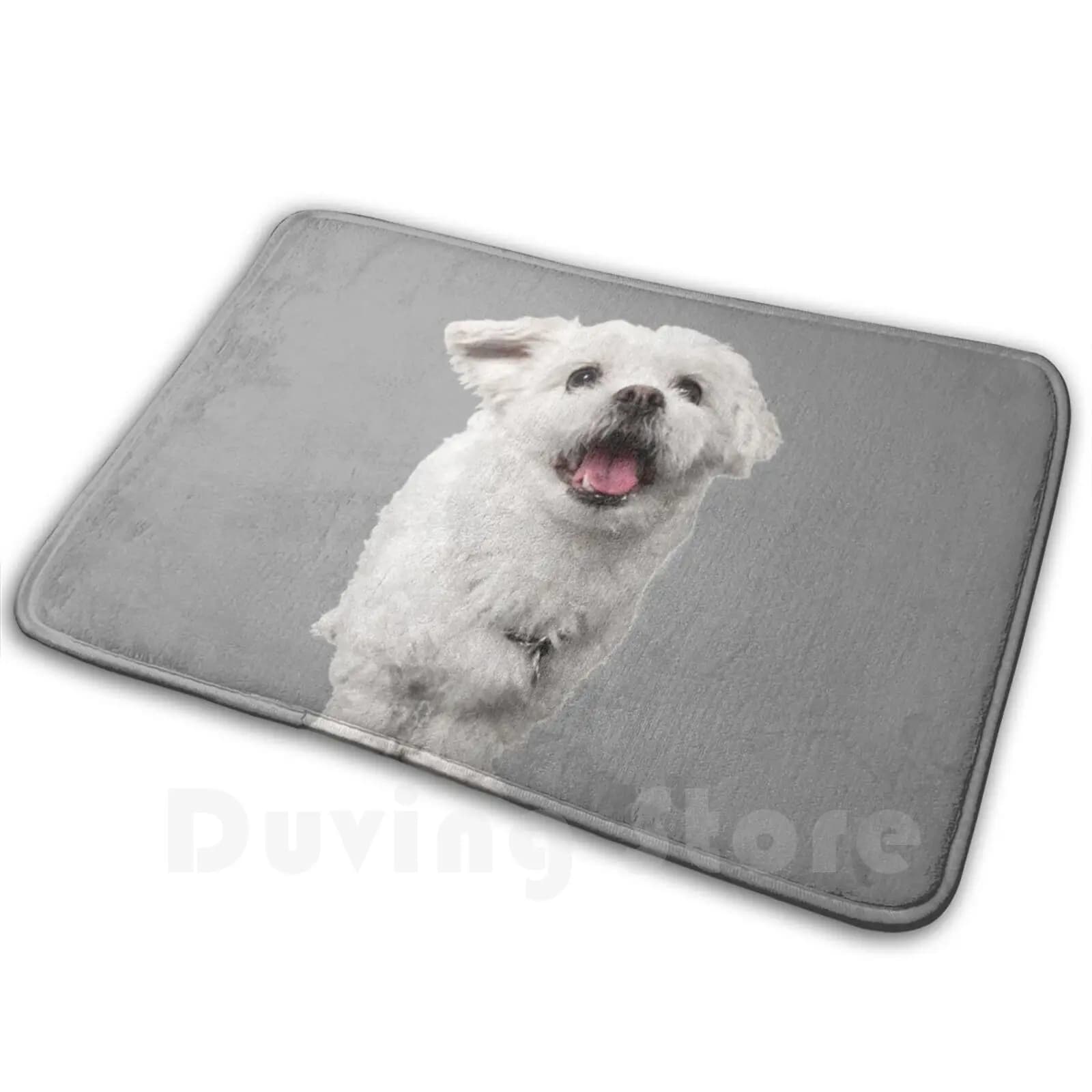Caution Puppy Carpet Anti-slip Carpet Bedroom Dog Puppy Animal Bead Doggy Smile Laugh Warning Funny Hanging