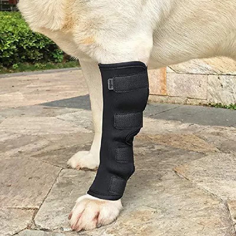 Protezione delle cinghie del tutore del ginocchio della gamba del cane dell'animale domestico per l'involucro dell'articolazione della gamba dell'involucro traspirante recupera le parti di supporto della protezione della gamba del cane