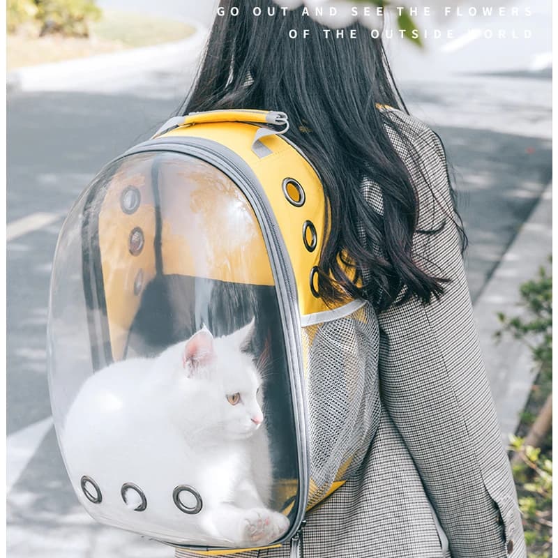 Borsa da trasporto portatile traspirante per animali domestici Borsa da viaggio per cuccioli, gatti, cani, spazio trasparente, zaino per animali domestici, capsula sicura