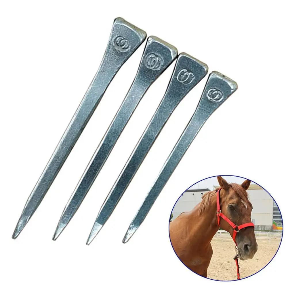 Chiodi a ferro di cavallo in acciaio da 250 pezzi E3/E4/E5/E6 chiodi per scarpe da cavallo di alta qualità attrezzatura sportiva equestre forniture per l'addestramento del cavallo