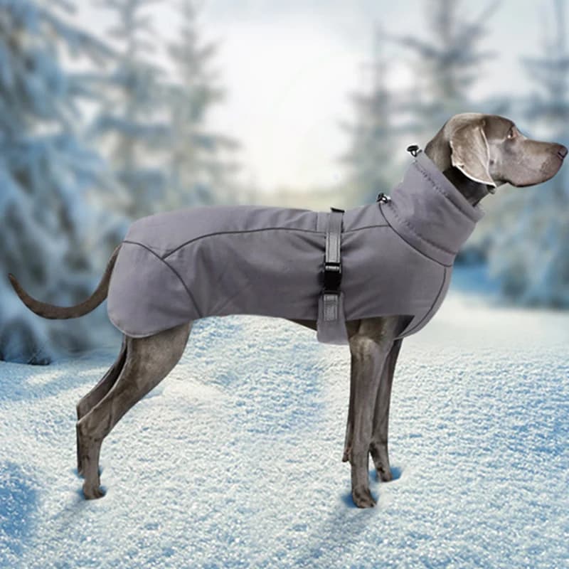 Caldo addensare giacca per cani di taglia grande per cani di taglia media collo alto vestiti invernali per animali Collie Shepherd mascotas abbigliamento outfit
