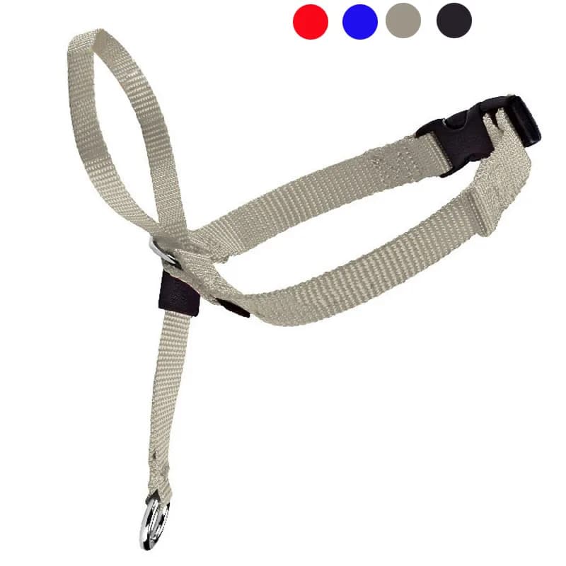Collare per la testa imbottito per cani da compagnia in nylon regolabile Guinzaglio per cavezza delicato Leader Stop Pulling Training Muzzle Strumenti Accessori per cani