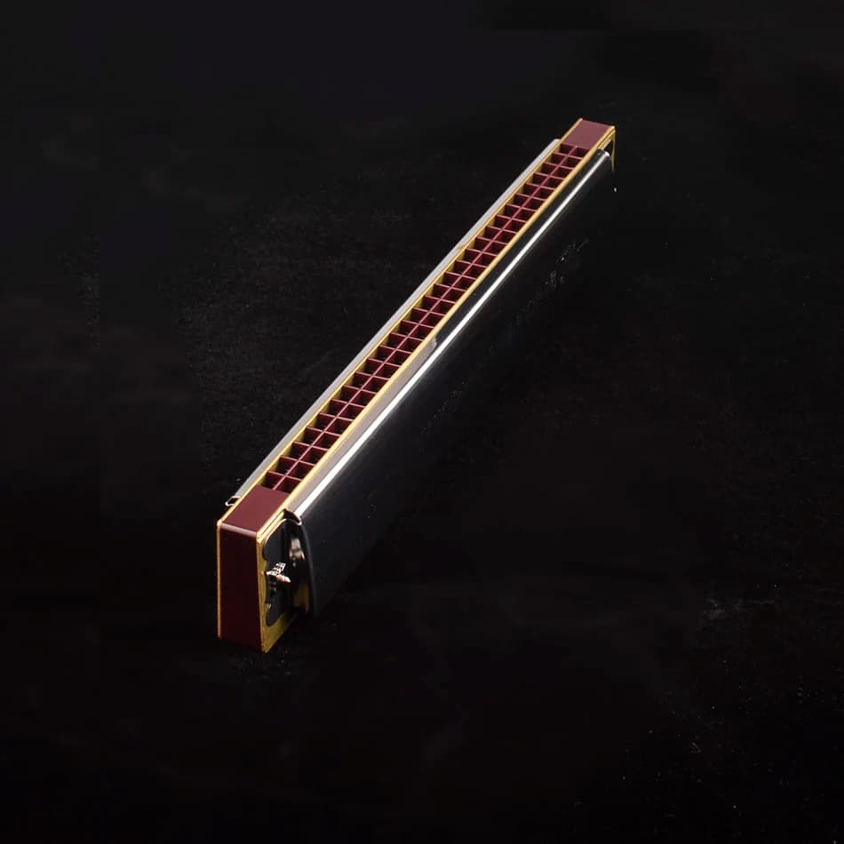 Swan armonica 28 fori Tremolo armonica strumento musicale giocattolo educativo con custodia armonica per studenti principianti adulti