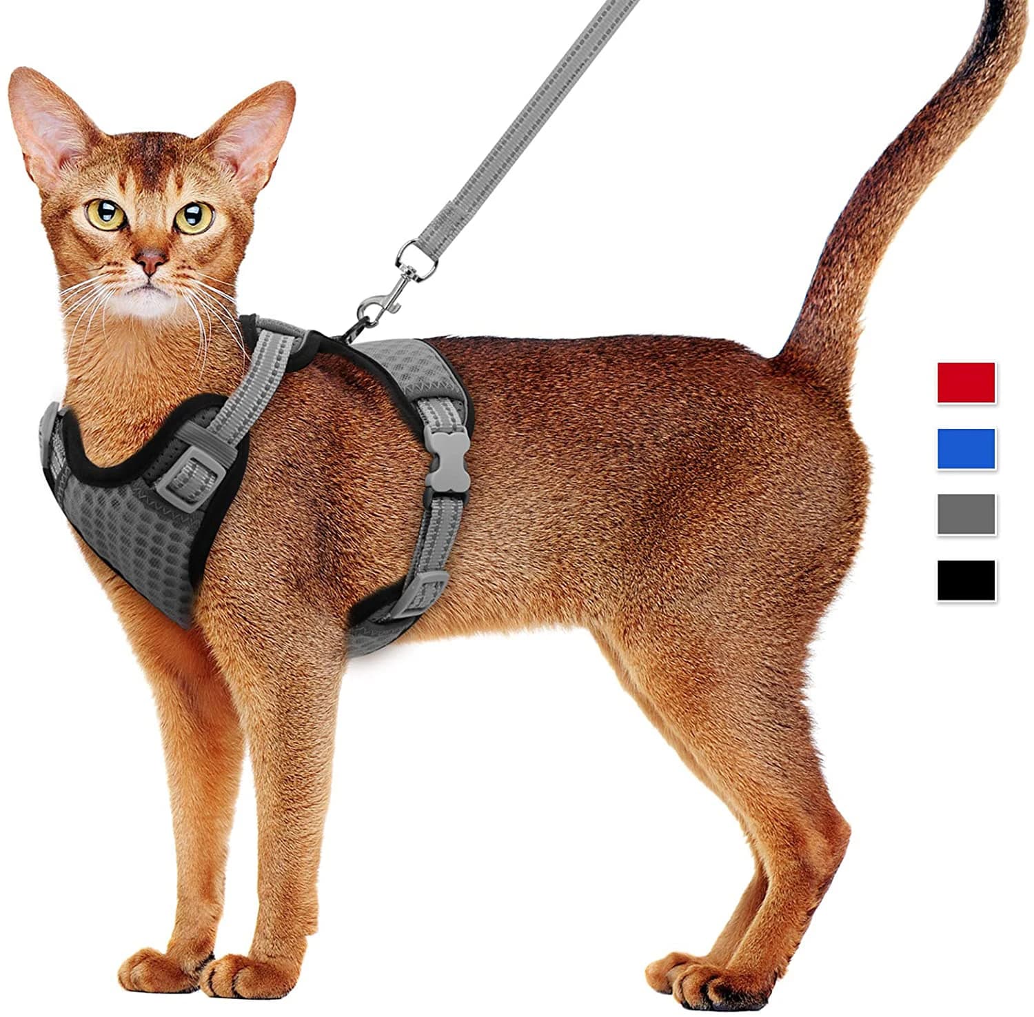 Cat Dog imbracatura regolabile gilet guinzaglio da passeggio guinzaglio per cuccioli collare per cani imbracatura in rete di poliestere per cani di taglia piccola e media