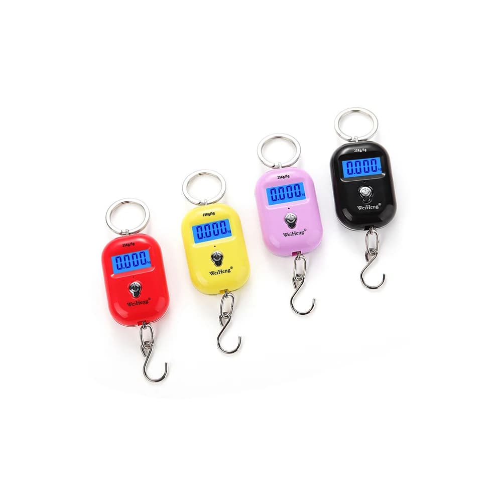 25Kg X 10g Carino Mini Bilancia per la Pesca di Viaggio Dei Bagagli Ponderazione Portachiavi Digitale Portatile Attaccatura Elettronica Gancio Da Cucina strumento