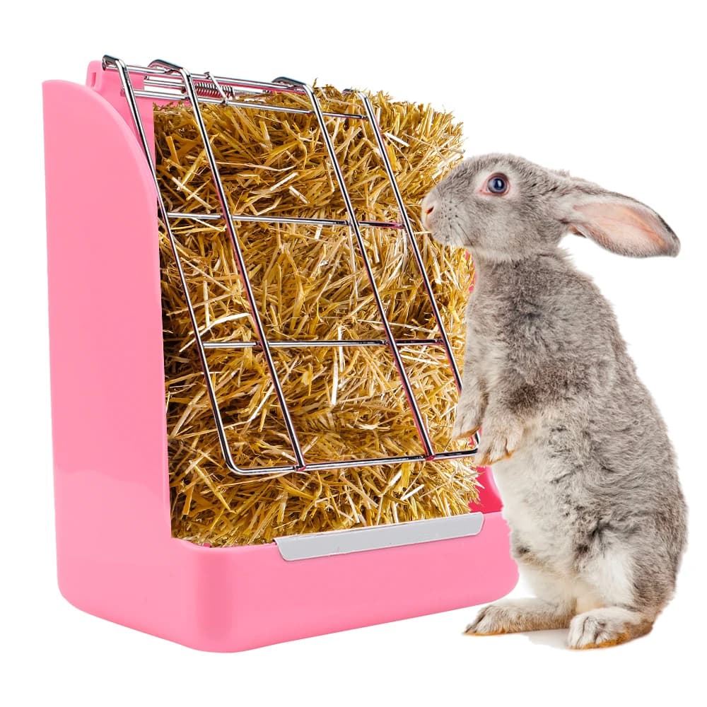 Cestino per alimenti per conigli Telaio per erba primaverile Alimentatore per fieno Coniglio Cornice per erba per coniglio Porta ciotola per fieno per erba Scaffale per erba Forniture per animali domestici