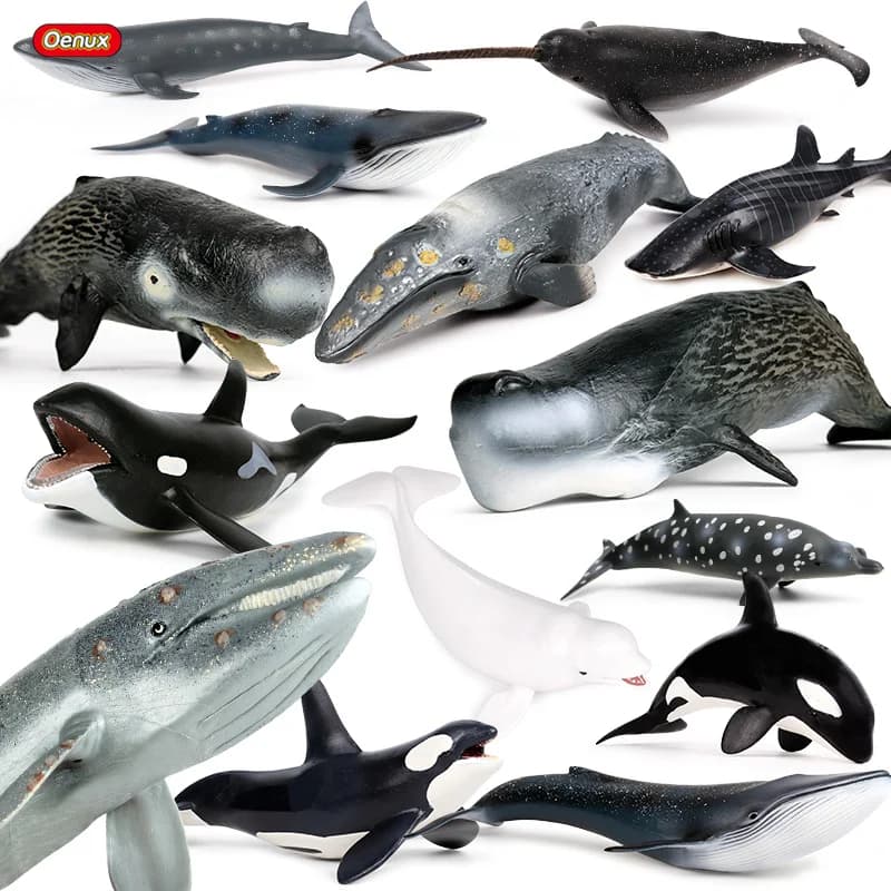 Oenux Ocean Animal Savage Megalodon Beluga Big Shark Orca Sperma Blue Whale Action Figures Sea Life Modello Giocattolo educativo per bambini