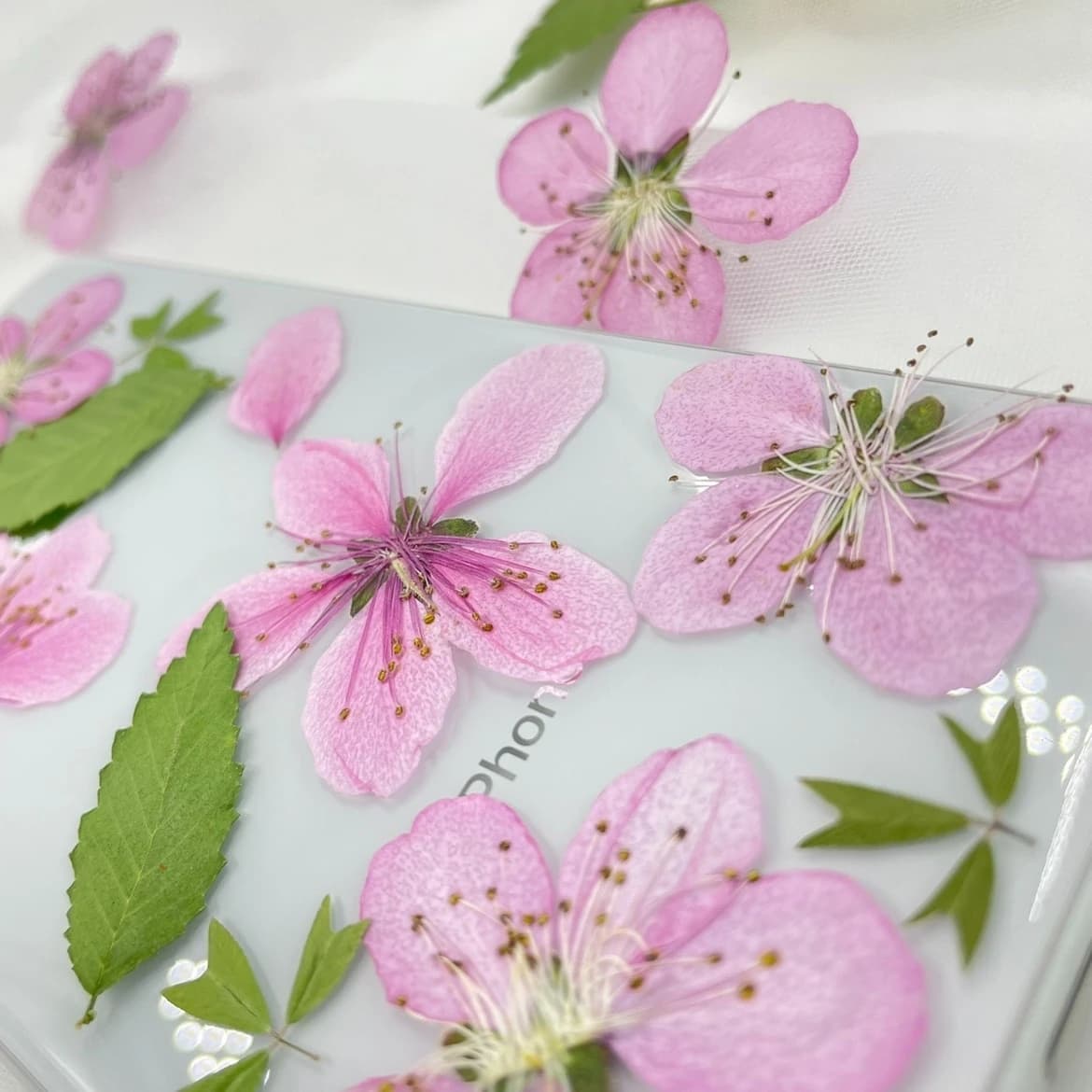 50 Pezzi Fiori di Pesco Rosa Essiccati Pressati per Nail Art, Make-up, Gioielli, Segnalibri, Cover per Telefono, Biglietti Fai da Te