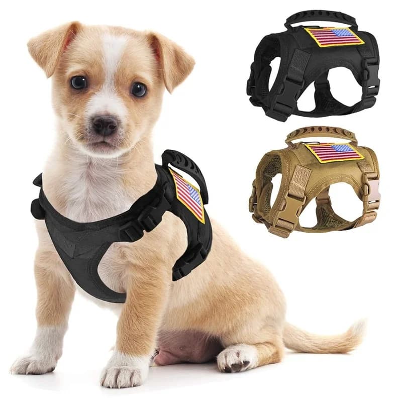 Cane panno tattico gilet per animali domestici piccola imbracatura per gatti caccia militare tiro esercito addestramento Molle regolabile animale