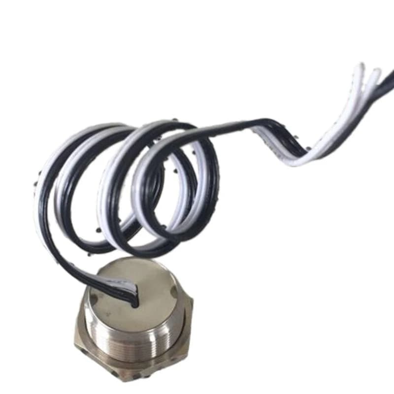 ELEWIND Corpo lungo super corto da 19 mm Cablaggio interruttore a pressione (PM19W-10E/Y/R/12 V/S)