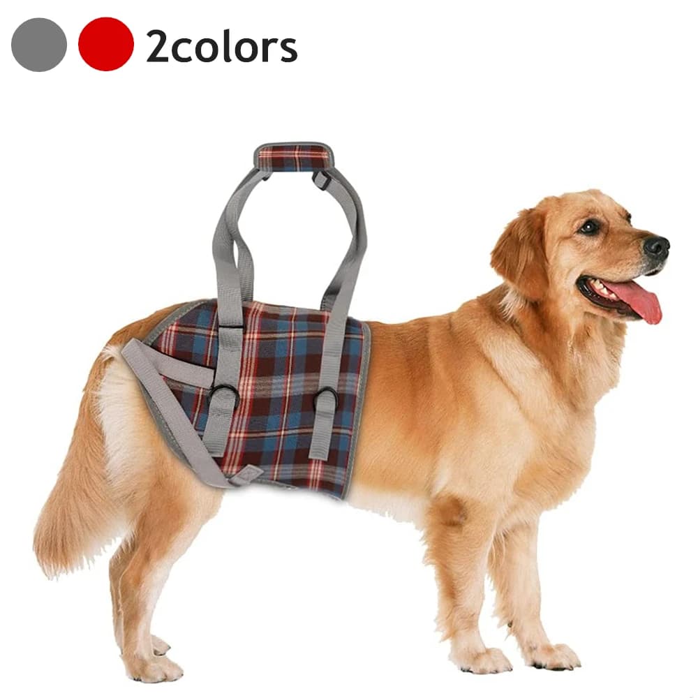 Imbracatura di supporto per cani per gambe posteriori e anteriori Sollevamento riabilitazione Portatile regolabile per aiutare a piedi di cani anziani disabili feriti deboli