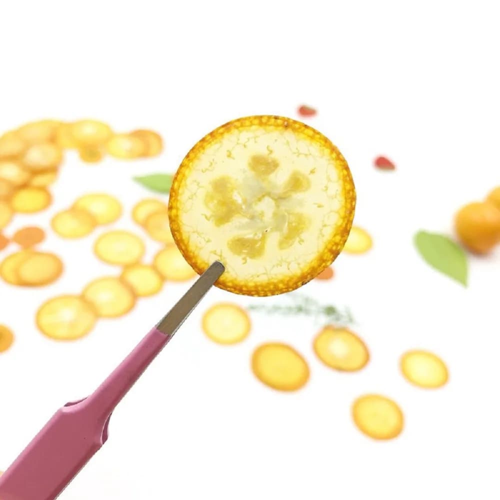 20 Pezzi di Fette di Kumquat Essiccate e Pressate, Mini Frutta Essiccata per Gioielli, Cornici Fotografiche, Cover per Telefoni, Segnalibri, Fai-da-Te