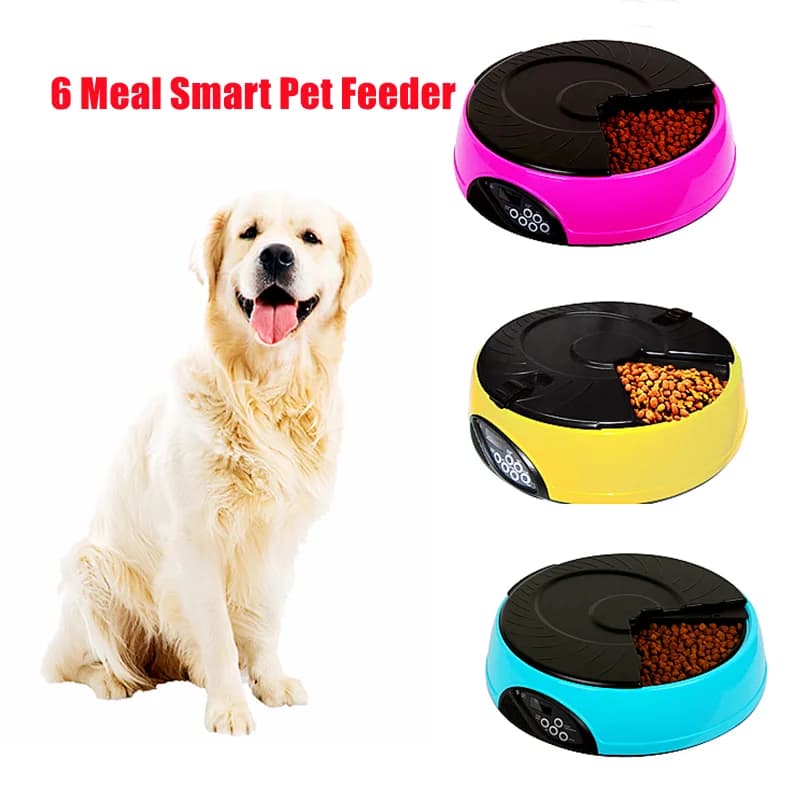 6 pasti alimentatore automatico intelligente per animali domestici Display LCD Dispenser per alimenti per gatti per cani registratore temporizzato ciotola promemoria per alimenti alimentatore per gatti