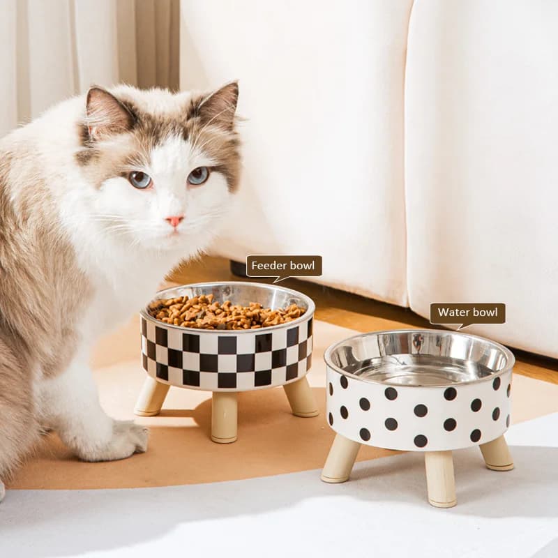 Ciotole per gatti Nuova ciotola per gatti rialzata in acciaio inossidabile Ciotole per cibo e acqua per animali domestici Mangiatoie per animali antiscivolo per cani e gatti Prodotto per animali domestici