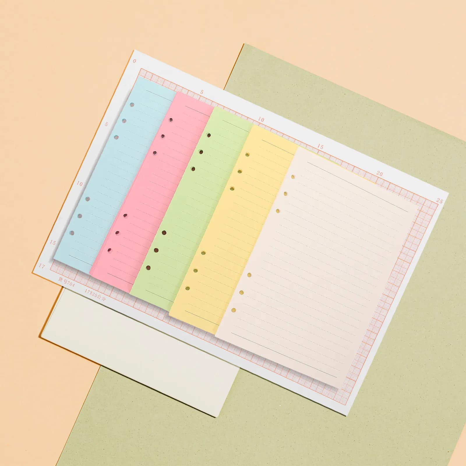 100 Fogli A5 a Righe, Carta a Fogli Mobili in 5 Colori, 6 Fori, Ricarica per Planner, Raccoglitori, Diari e Quaderni