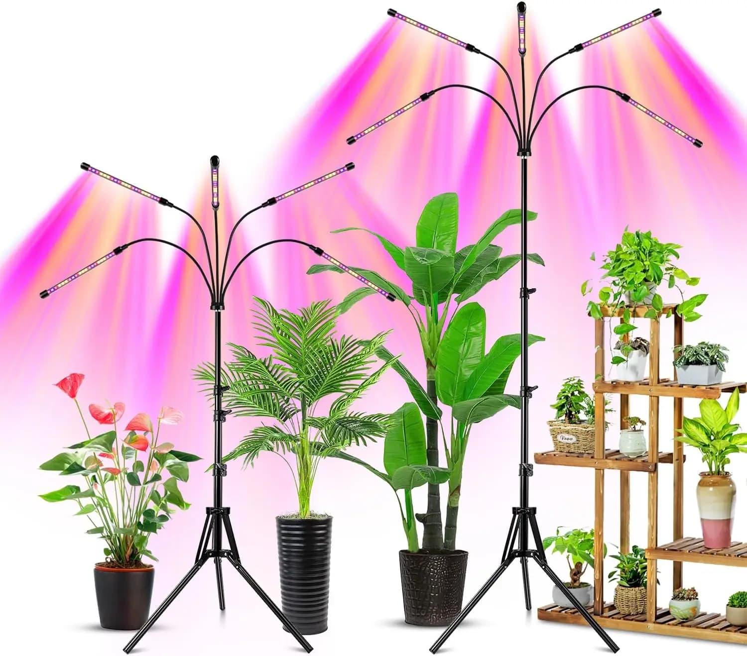 Lampada LED per Coltivazione a Spettro Completo con Timer, Supporto Regolabile per Piante da Interno, 5 Teste, Efficienza Energetica