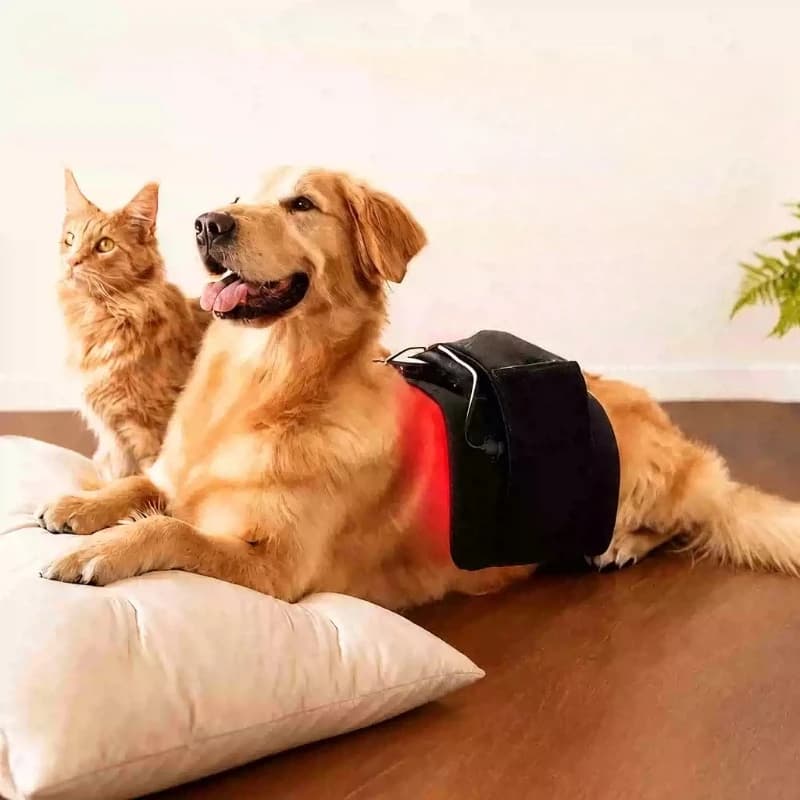 Pet Infrared Heating Pad for Dogs & Cats, Warm Therapy Blanket, Joint & Lumbar Support Wrap for Senior Pet Recovery Care