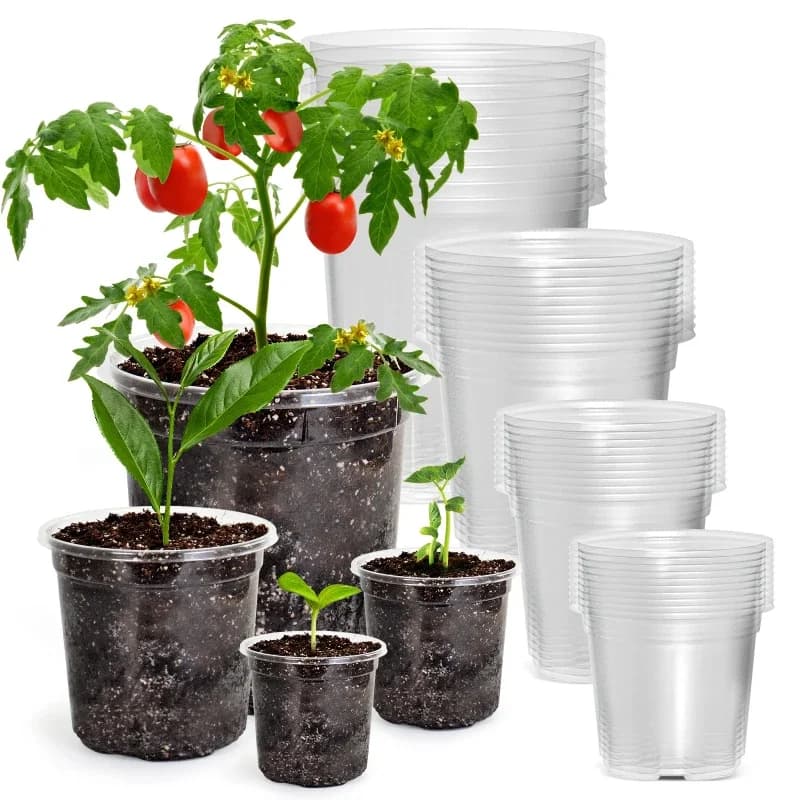 30 transparent jars for nursery, transparent plastic planter with drainage holes, seed and plant germination containers