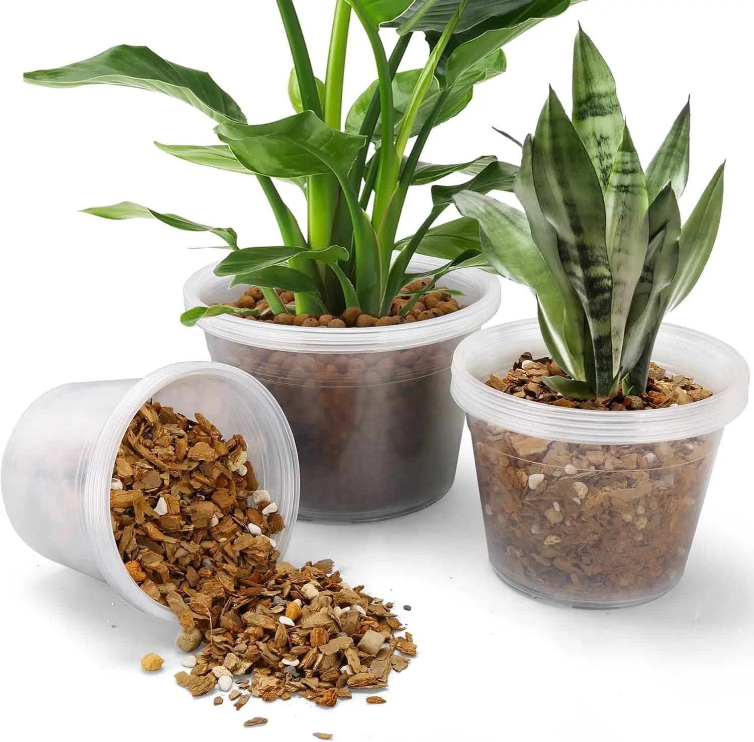 Transparent plastic vases with draining holes, 12 pack for plants, herbs and vegetables