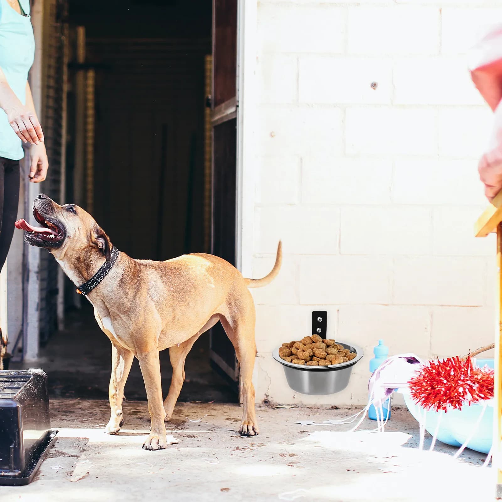 Set di 1 Ciotola Rialzata per Cani, Ciotola per Cibo e Acqua in Acciaio Inox da Montare a Parete per Cani di Taglia Media e Grande