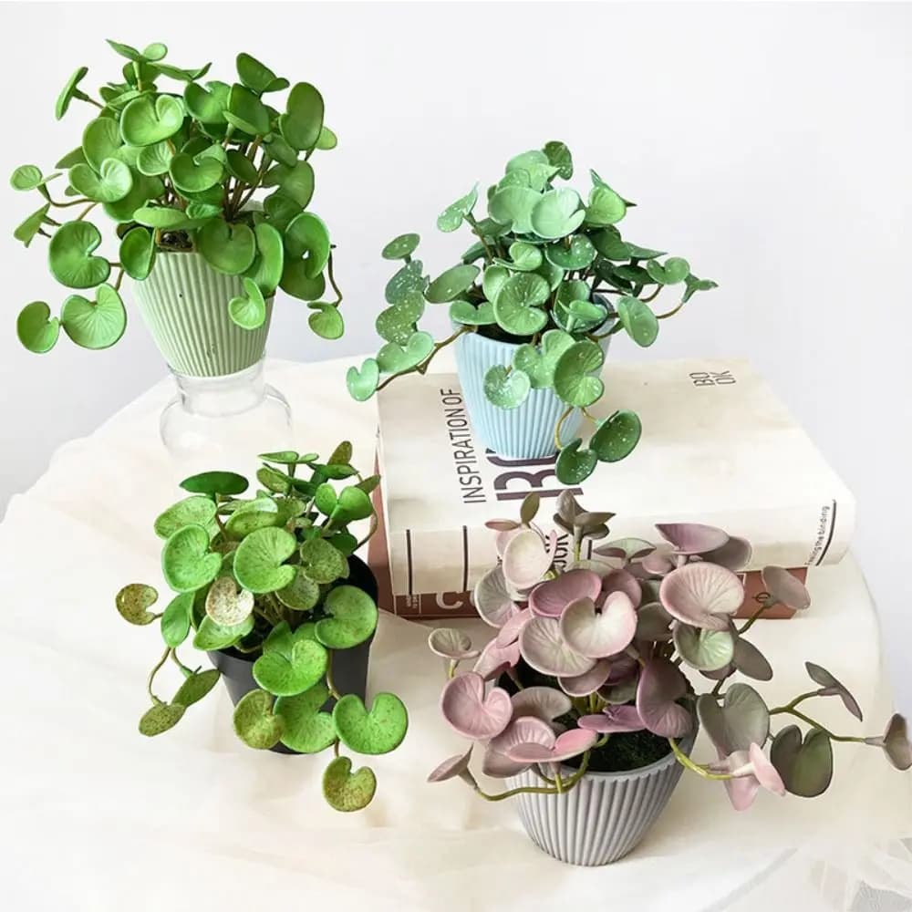 Colla morbida Pianta artificiale EVA Verde Piante grasse Foglie Appeso a parete Home Office Moneta in rame finto Erba Home Office