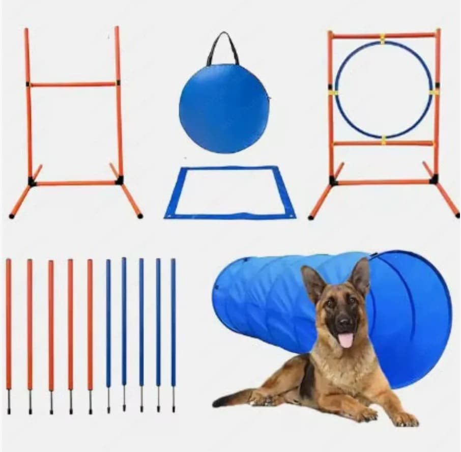 Dog Agility Training Kit with Jump Bar for Obstacle Course, Pet Supplies Trainer Set