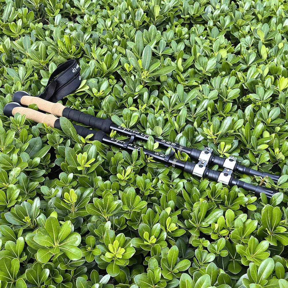 Lighten Up Folding Aluminum alloy Trekking Pole | Lightweight Collapsible Hiking Stick for Camping & Nordic Walking
