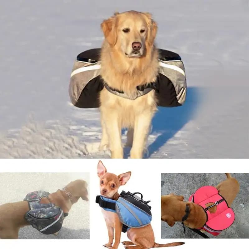 Zaino per animali domestici Zaino da esterno per cani Compatto e facile da montare per animali domestici da trasportino Accessori essenziali per la passeggiata del cane da viaggio