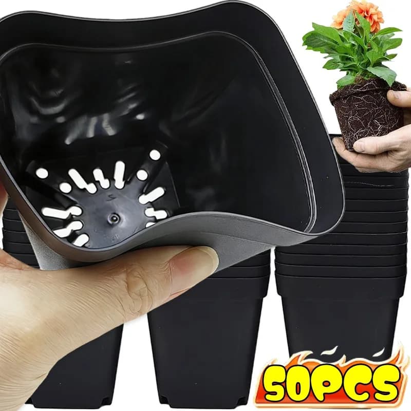50/10x Vasi in Plastica Quadrati per Piante Succulente con Drenaggio, Piccoli Vasi per Fiori, Contenitori per Semina e Germinazione