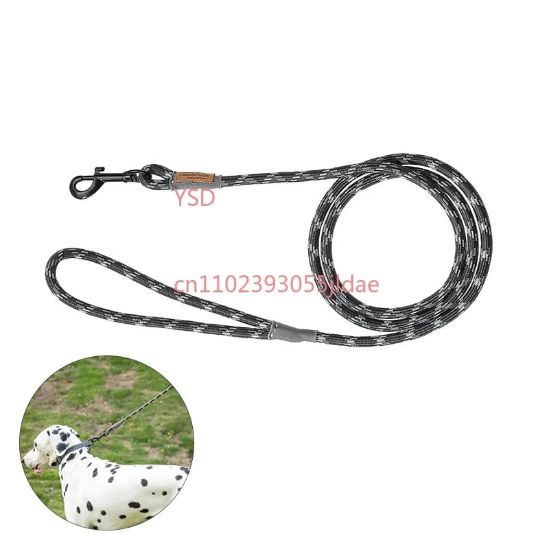 Guinzaglio e Collare per Cani da Campeggio, Corda P per Passeggiate e Addestramento all'Aperto, Guinzaglio Resistente