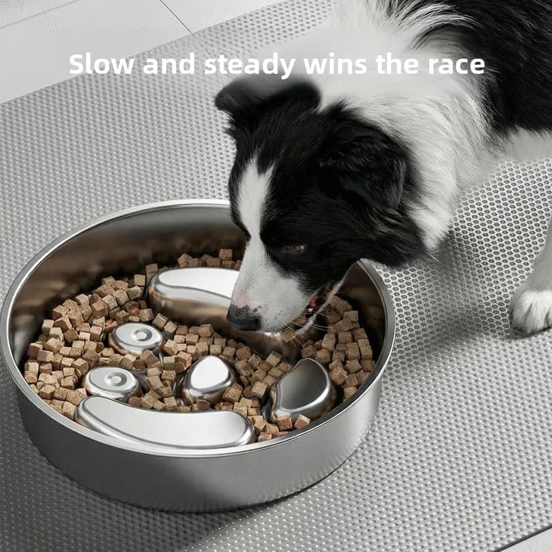 Non-Slip Anti-Overturn Thickened Stainless Steel Slow Food Bowl Cat Dog Feeding Basin Pet Feeder Pet Supplies