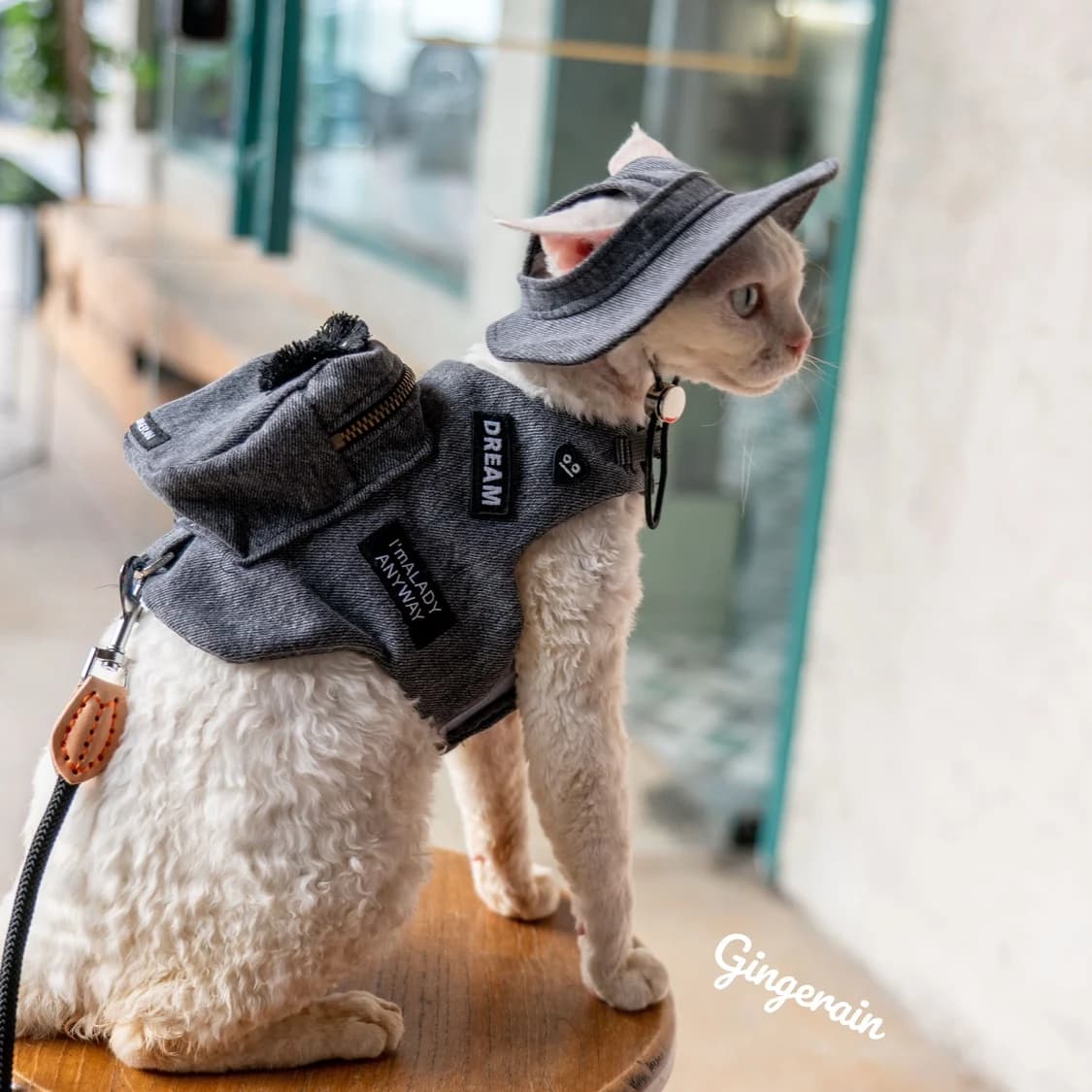 Borsa da viaggio per gatti da viaggio di lusso fatta a mano borsa per Snack nera per animali domestici carino gilet per imbracatura per gatti Gotas Katten Sphynx bob Rex