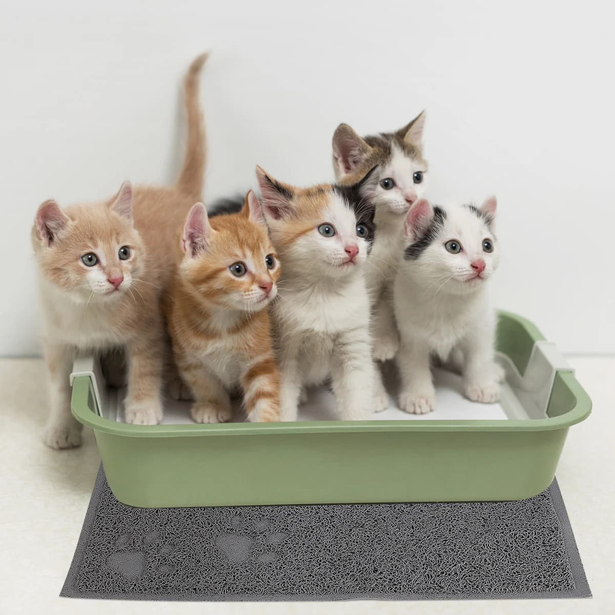 1pc Tappetino per lettiera per gatti Impermeabile Resistente all'usura Artiglio Rettifica a prova di spruzzi Grigio Forniture per animali domestici Tappetino per gatti spesso e facile