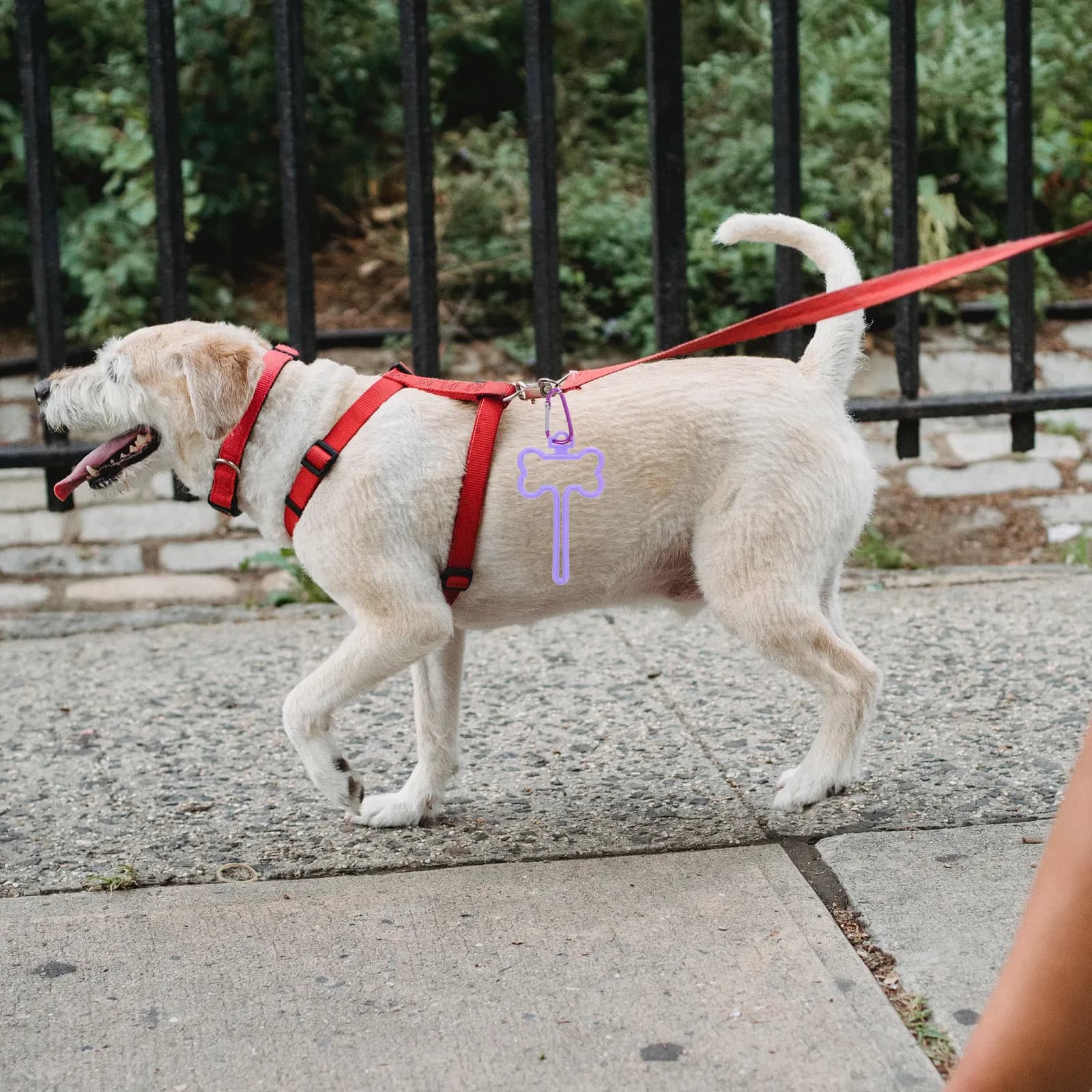 3 Pezzi Clip Fissaggio Sacchetti per Escrementi Cani, Robusto Porta Sacchetti per Guinzaglio, Accessori per Passeggiate a Mani Libere, Forniture per Animali Domestici
