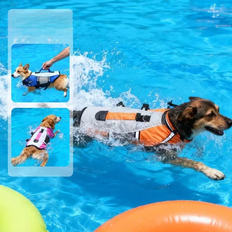 Giubbotto di salvataggio per cani, giubbotto galleggiante per cani, giubbotto di sicurezza riflettente per animali domestici, giubbotto galleggiante per cani da spiaggia, giubbotto da nuoto per animali domestici per esterni