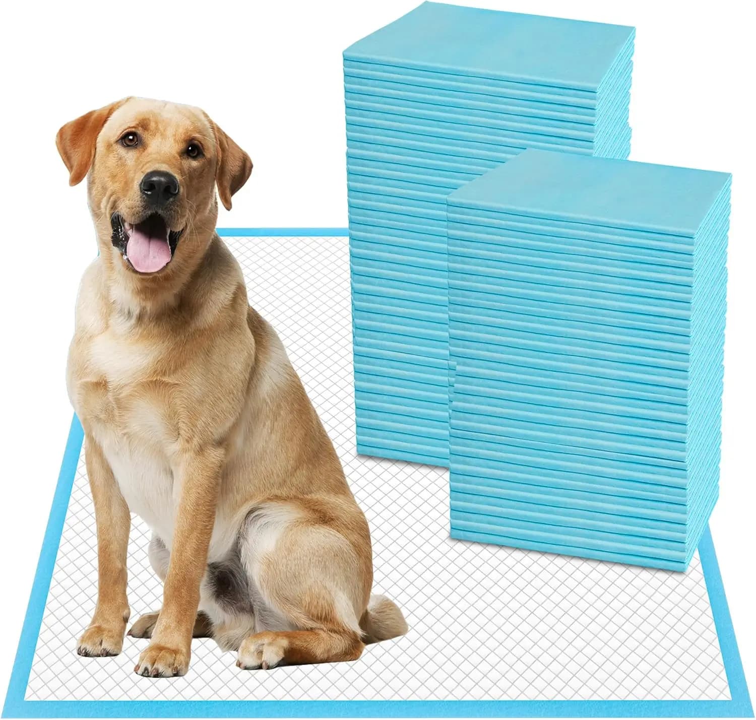 Tappetini Assorbenti Extra Large 30x36 Pollici per Addestramento Animali, Super Assorbenti ad Asciugatura Rapida, Impermeabili e Usa e Getta per Cani, Gatti e Conigli