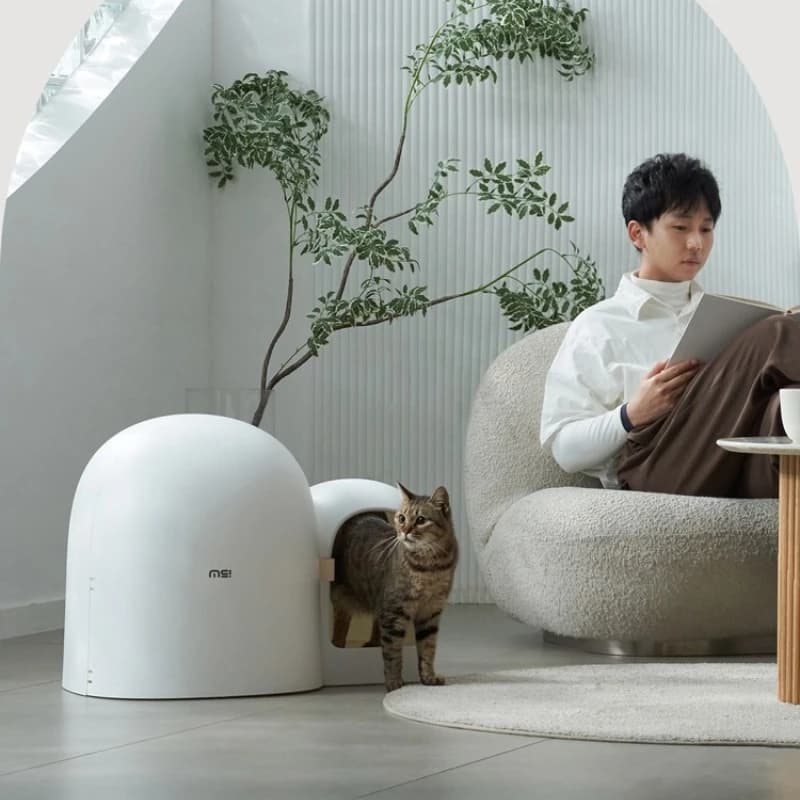 Toilette per gatti in stile corridoio Prevenzione degli odori Padelle per gatti Lettiera per gatti completamente chiusa Materiale di sicurezza Forniture per animali domestici