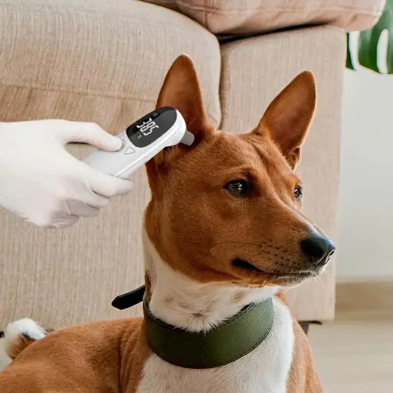 Termometri digitali per orecchie di gatto per cani da compagnia Misurazione di animali elettronici senza contatto Forniture per animali domestici altamente accurate Accessori per veterinari