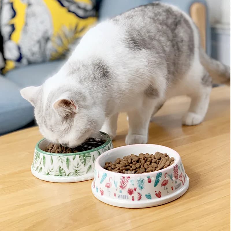 Pet Food Supplies Ceramic Cat Bowl Water Basin Dog Pot Pet Drinking Eat Bowl Round Ceramic Bowls Feeders Pet Supplies