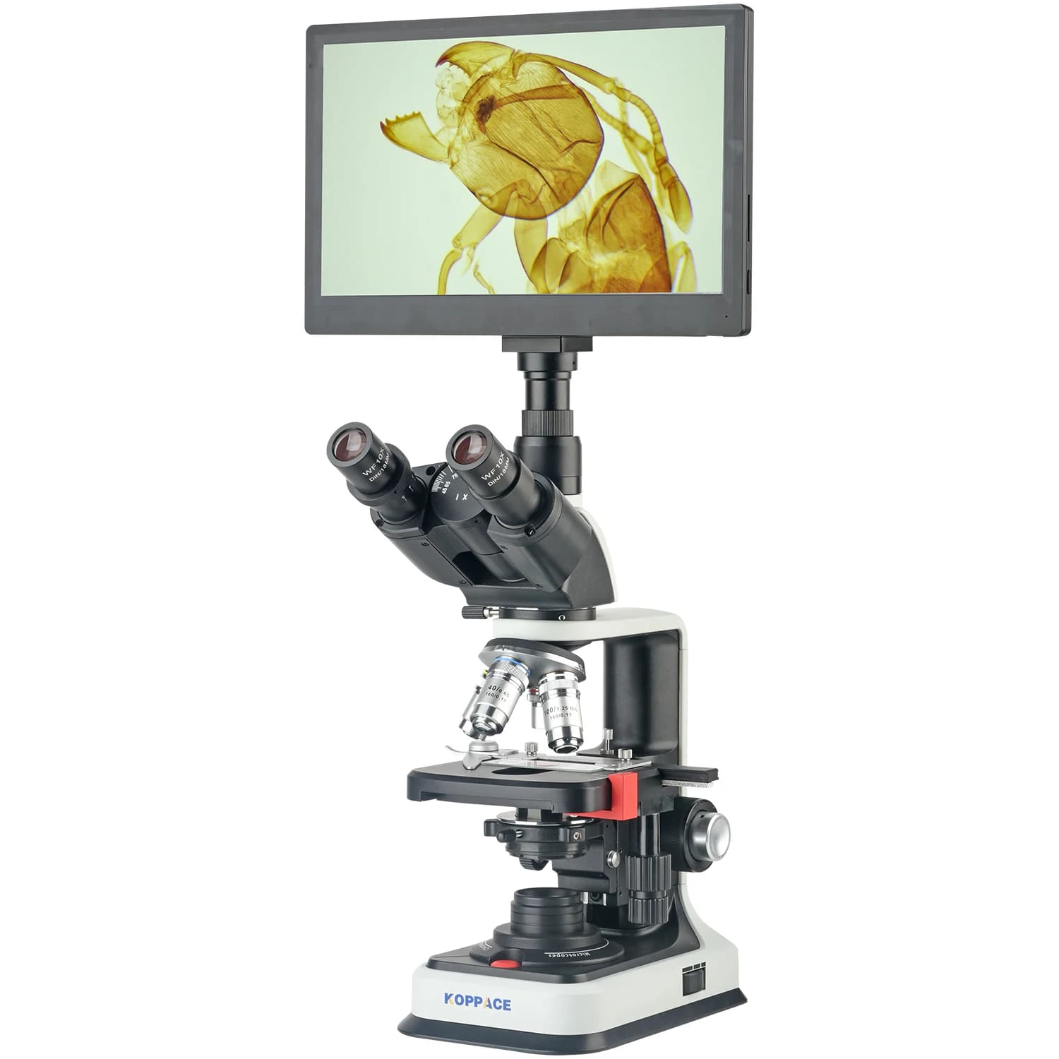 Microscopio biologico elettronico KOPPACE 40X-2500X 2 milioni di pixel Display HD da 11,6 pollici
