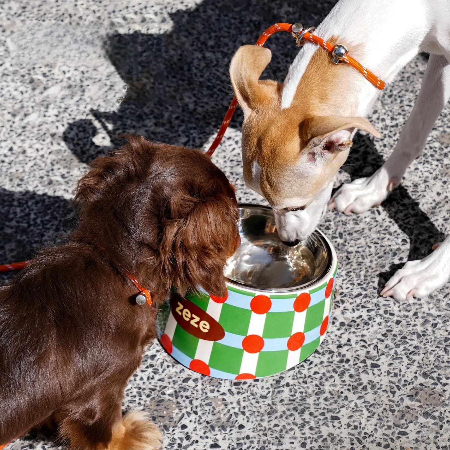 Zeze Ciotola per animali domestici in acciaio inossidabile anti-ribaltamento, ciotola per acqua per cani, ciotola per cibo, protezione per il collo, ciotola per bere, ciotola per cibo per animali domestici