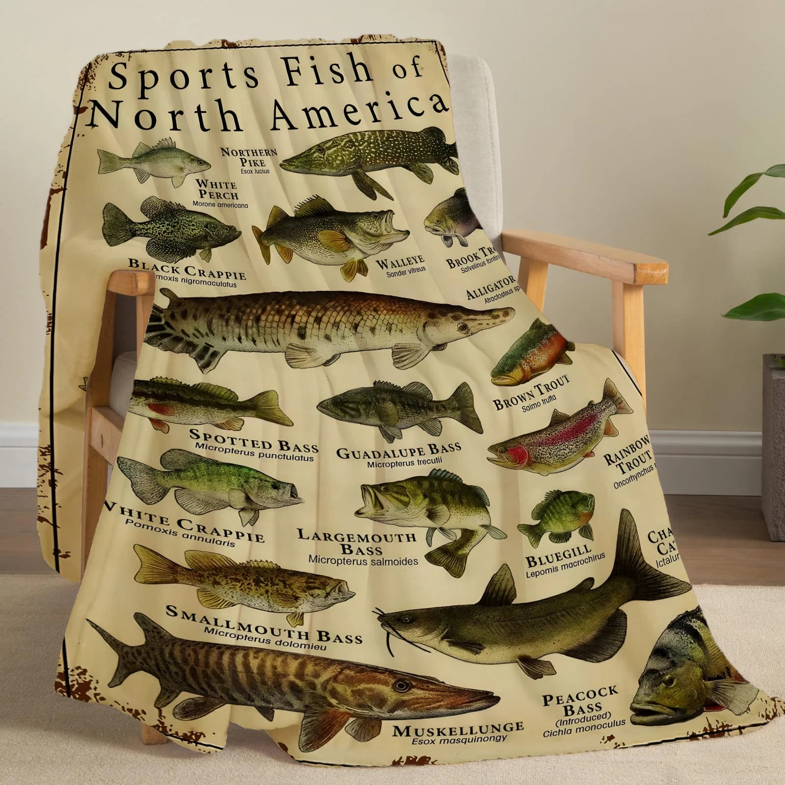 Coperta in Flanella con Stampa di Pesci Sportivi, Super Morbida e Accogliente per Letto, Divano, Ufficio, Viaggio, Lavabile in Lavatrice, Regalo Perfetto per la Casa