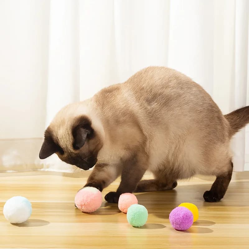 10pcs Cute Funny Cat Toys Stretch peluche Ball Cat Toy Ball creativo colorato interattivo Cat Pom Pom Cat Chew Toy Dropshipping