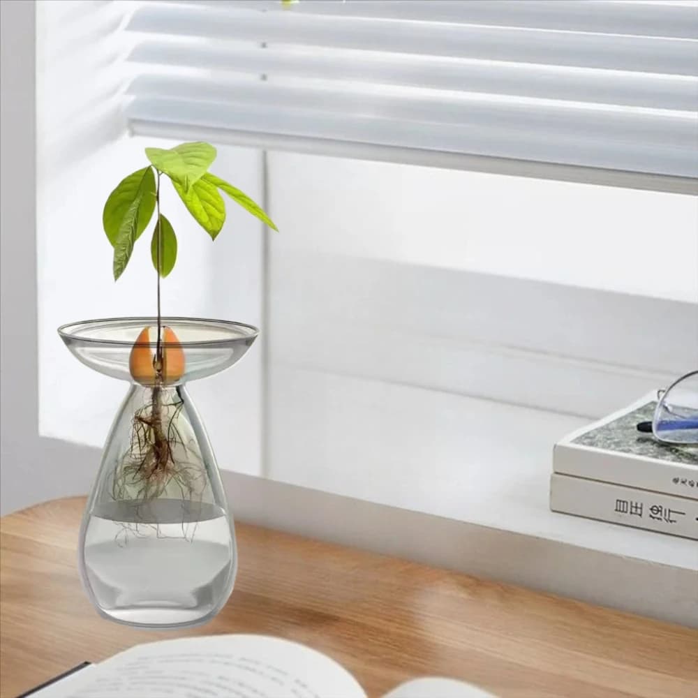 Creative transparent long oval avocado vase hydroponic avocado seeds hydroponic vase flower vase for gardening decorations for home