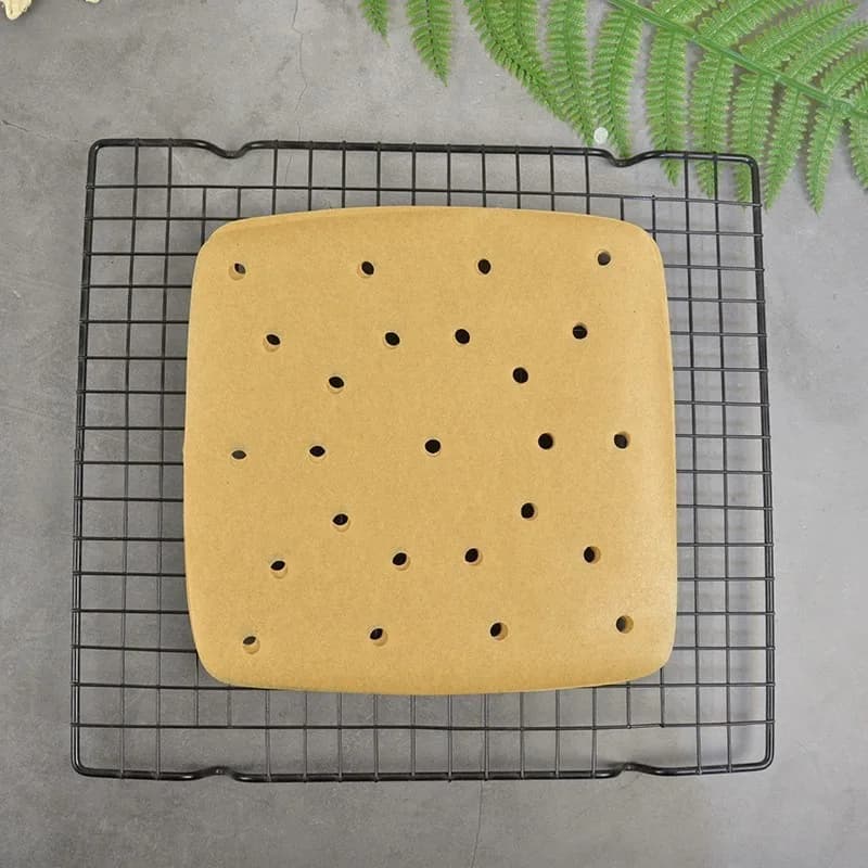 100 pcs Refined Air Fryer Paper Parchment US Air Fryer And Throw Paper Sheet Square Perforated Carte Bakery Paper